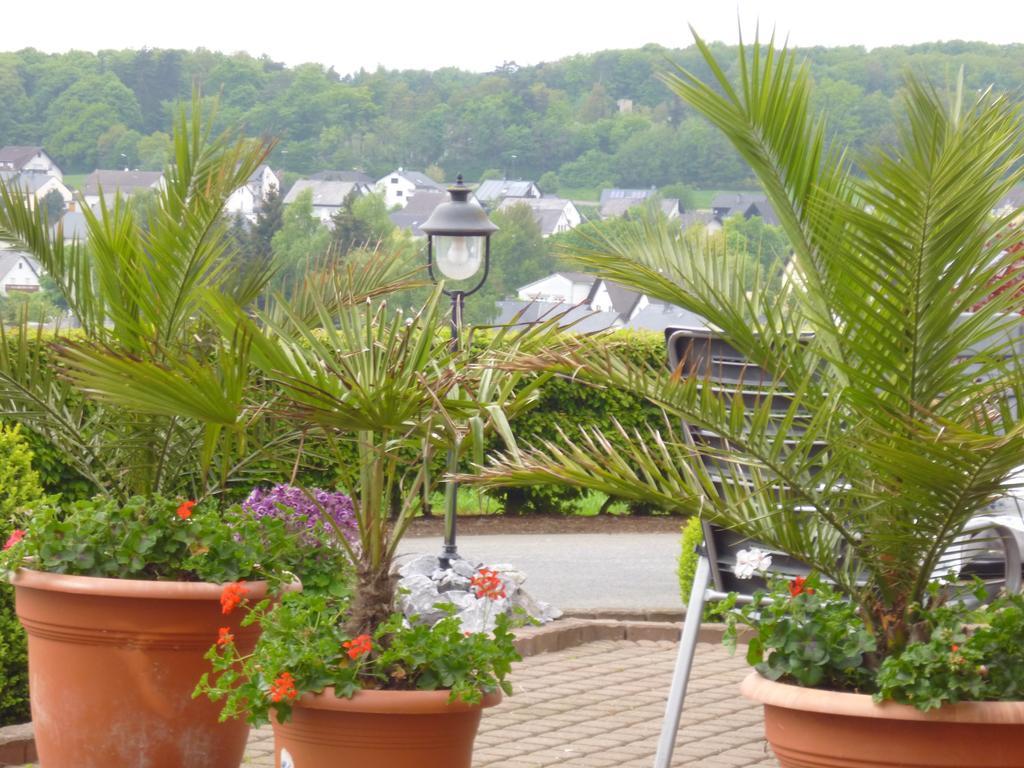 Haus Wendling Apartment Blankenrath Bilik gambar